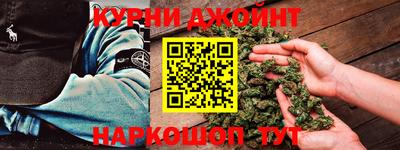 индика Будённовск