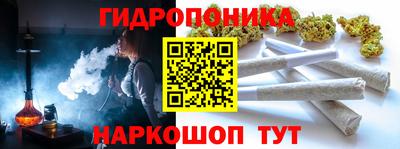 индика Будённовск