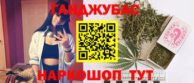 индика Будённовск