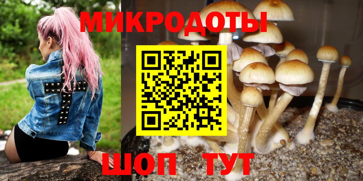 где можно купить наркотик  Вход с VPN  Октябрьский  Псилоцибиновые грибы GOLDEN TEACHER 